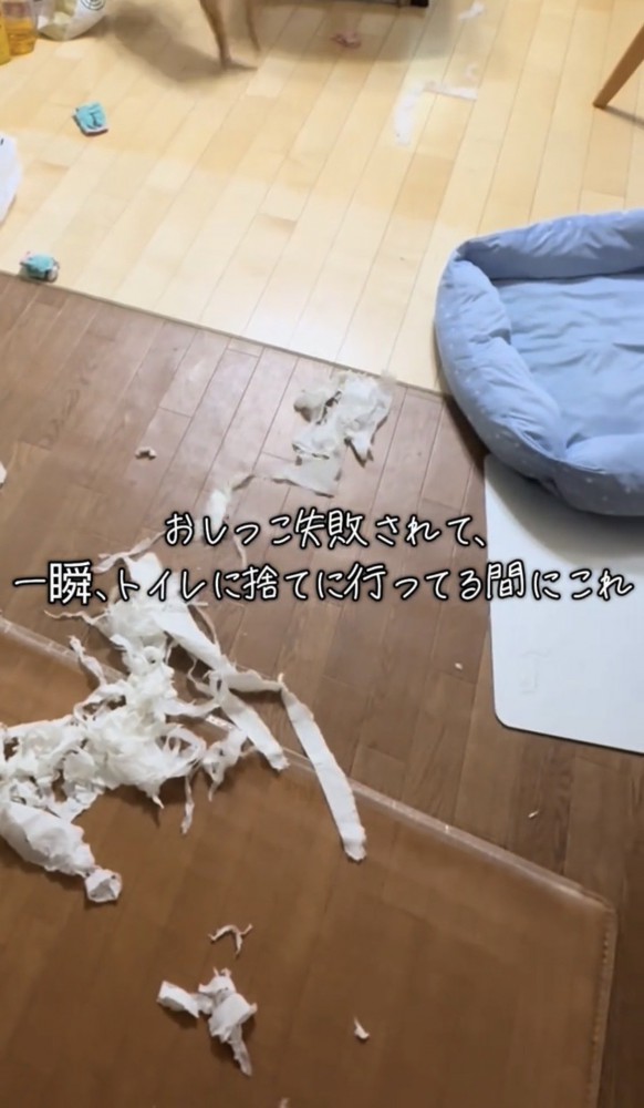 散らかっている紙