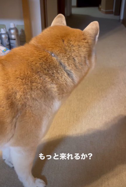 「右の部屋ね…」