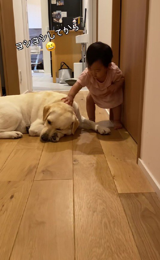 「跨ぐけどごめんね」