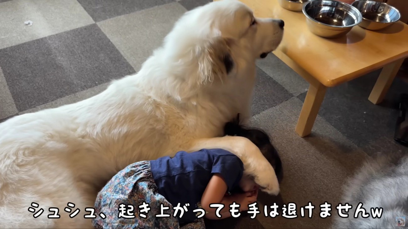 守っているつもりかも♡