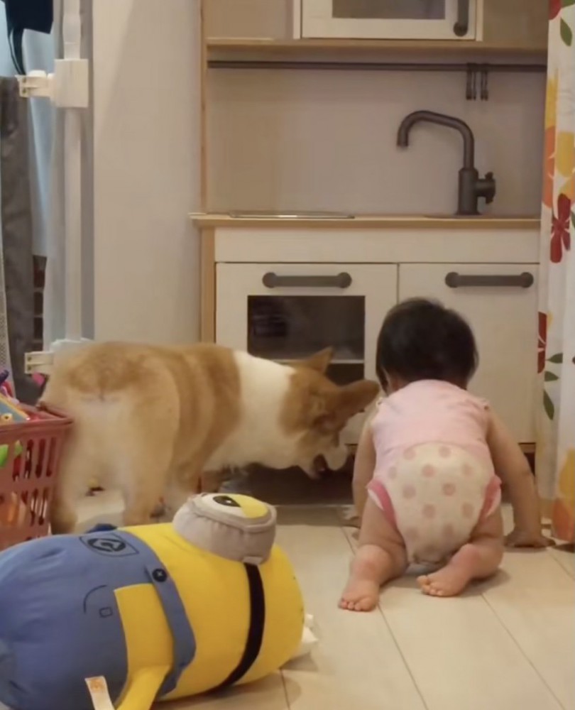 取れるかな？