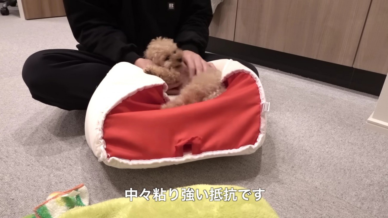 必死に抵抗！