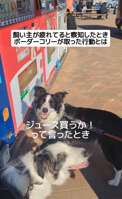 ジッピーくんの気遣い9