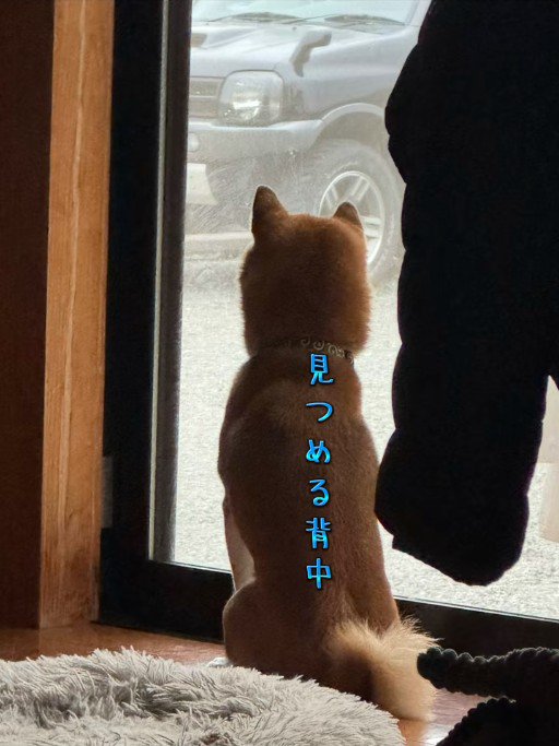 リクくんにハプニング発生⑩