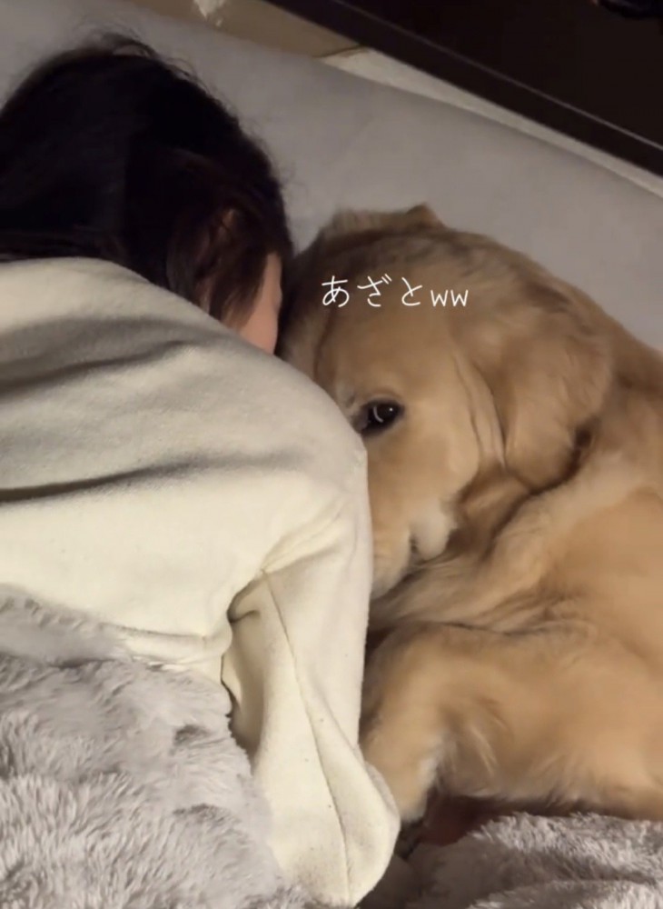 上目づかいでカメラを見つめる犬のアップ