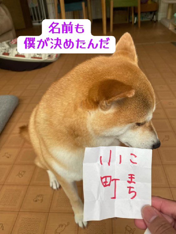 僕が命名したんだよ