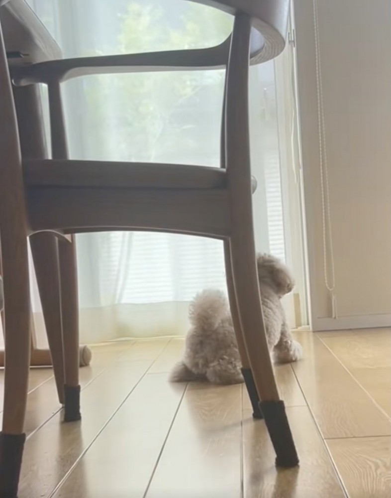 「もうだめ…」