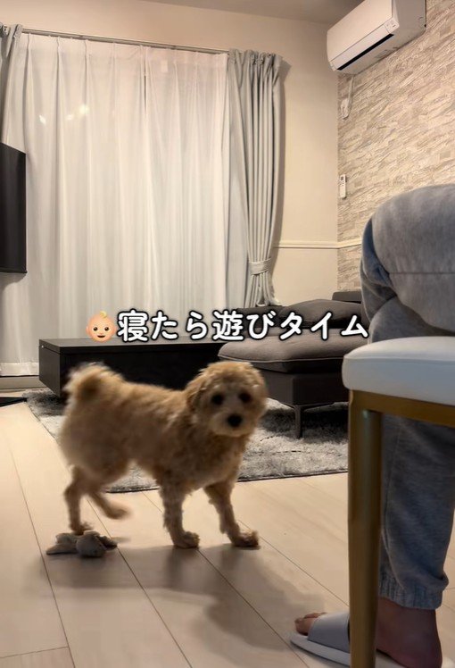 たわし君のナイトルーティン7