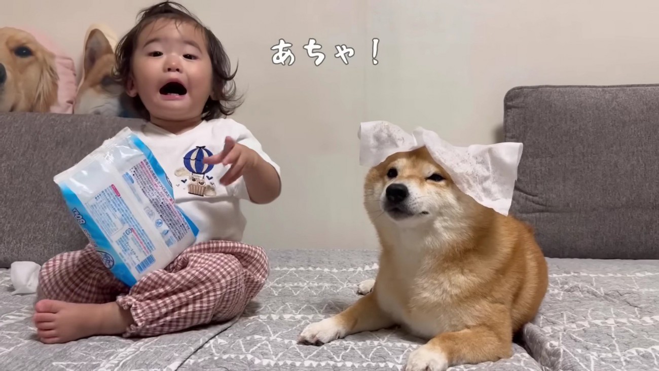 次のターゲットはうにくん