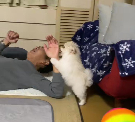 やんちゃならぽちゃん