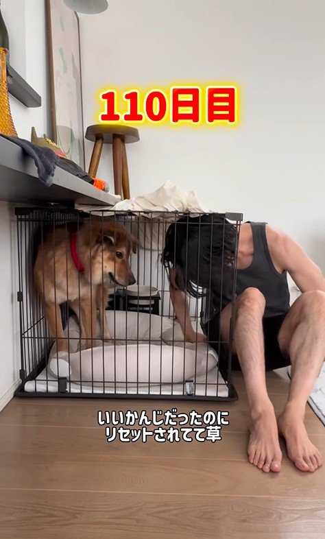 ケージに侵入されてドン引き…