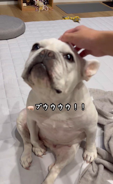 はなちゃんの体勢5