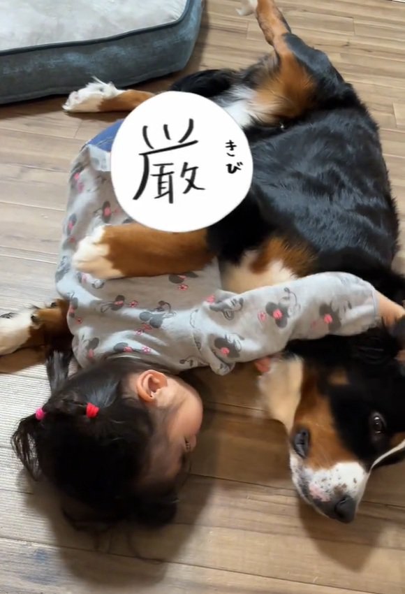 ベルちゃんに抱きつく娘さん