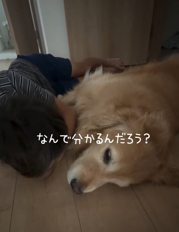 横並びの息子さんときなこちゃん