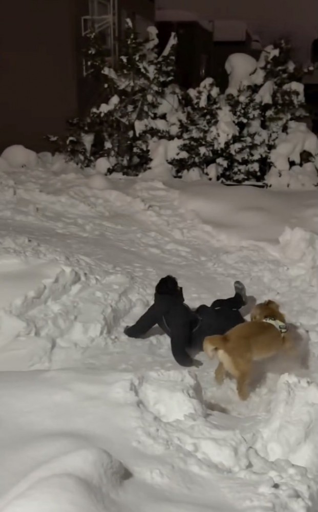 思いっきり転倒