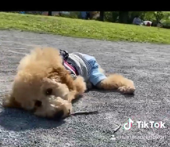 小枝が大好き！！