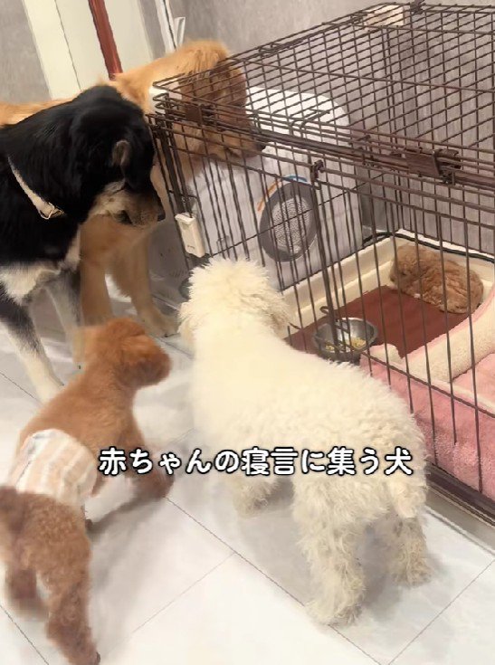 全員集合する光景にホッコリ