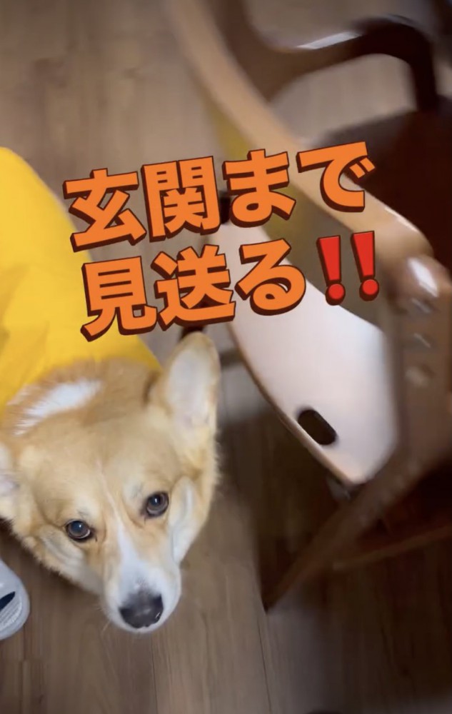 「行ってらっしゃい〜」