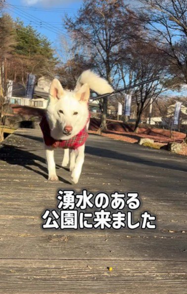 公園にやってきました！！