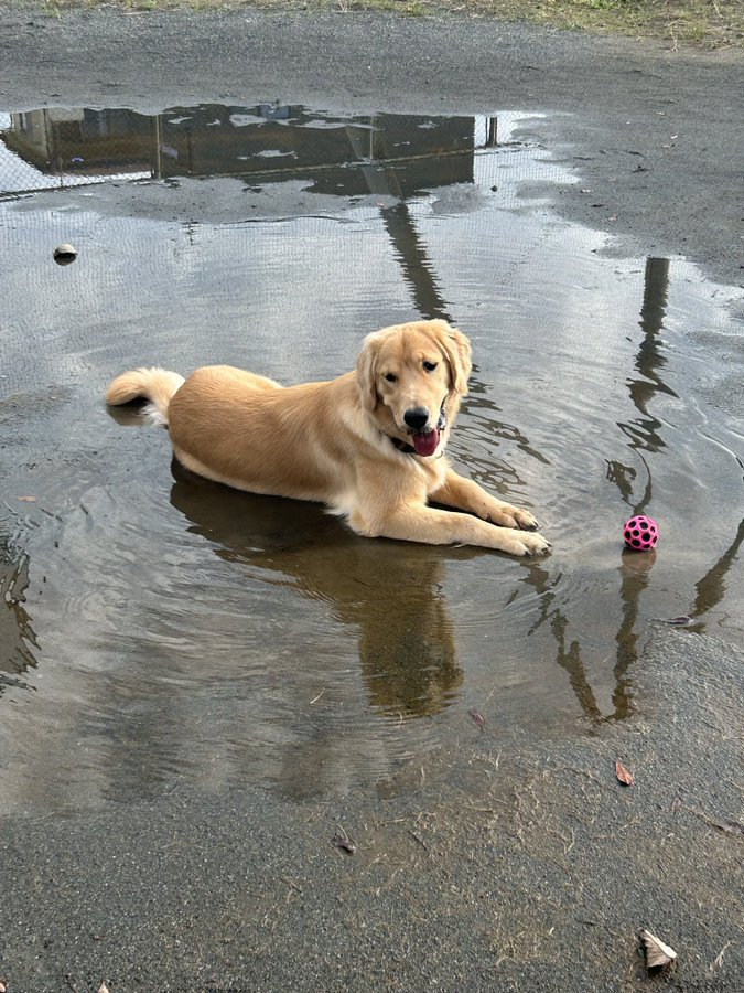 水たまり