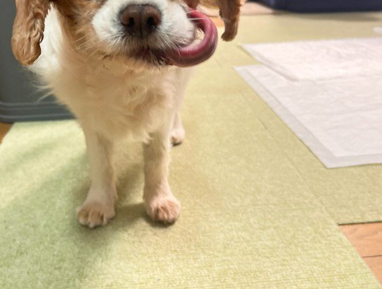 そこに写されていたのは…