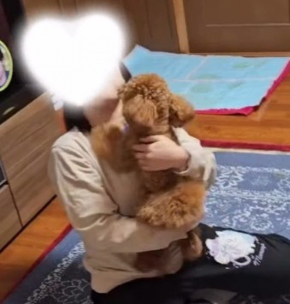 腕を広げた飼い主に飛びつく犬