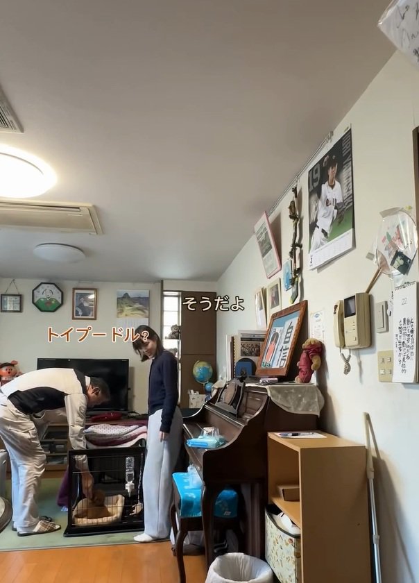 犬種を当てるお父さん