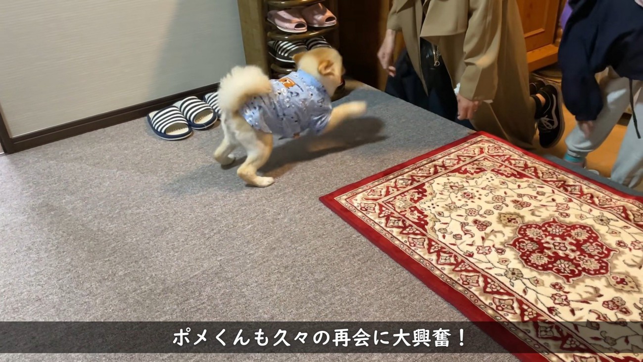 嬉しくて大はしゃぎ♪
