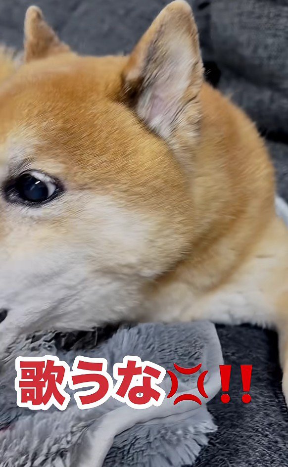 パパの歌に激怒！！