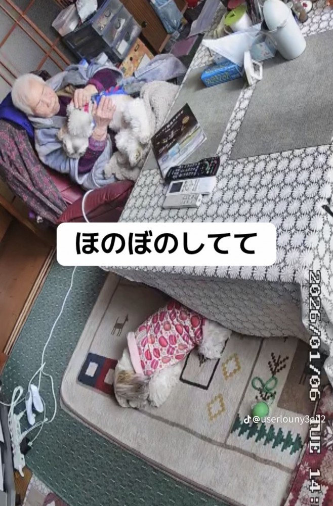 犬をなでるおばあちゃん2