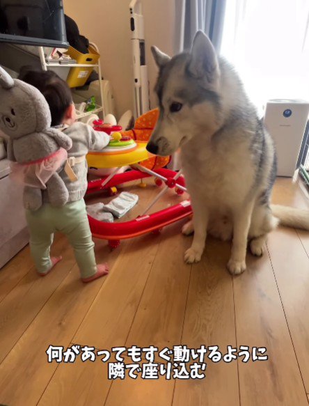 終始ハラハラ…