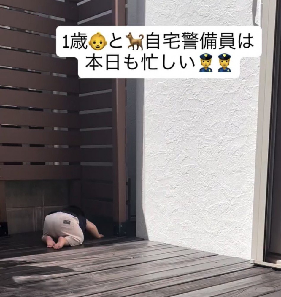フェンスの隙間を覗く男の子