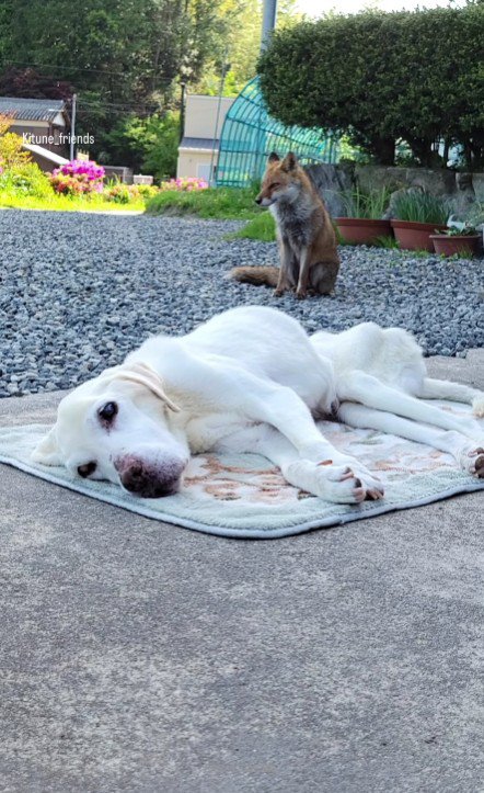 友情は消えない…