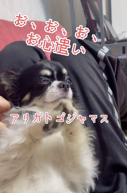 お礼を言うちーちゃん