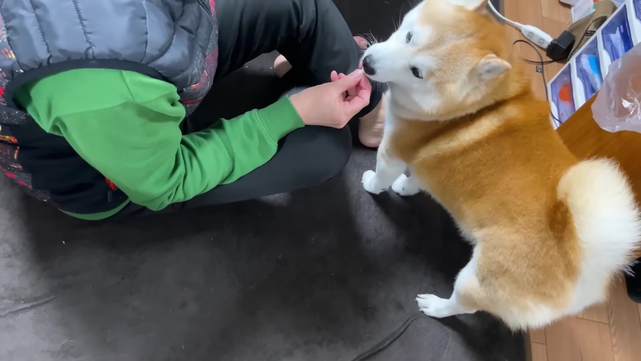 「骨っ子の気分じゃない」