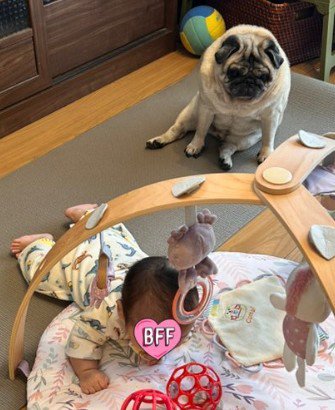 もち丸くんと赤ちゃんの日常2