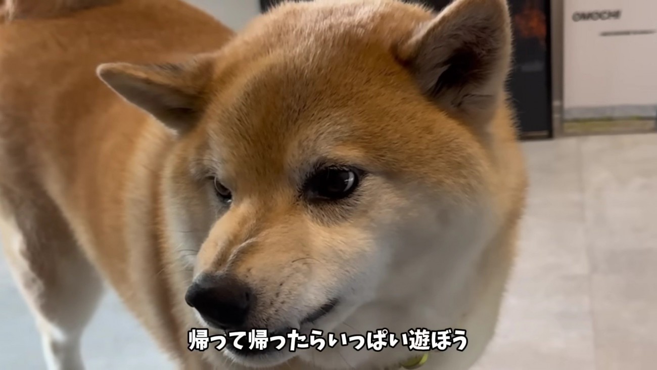 ムキ顔のままお見送り…