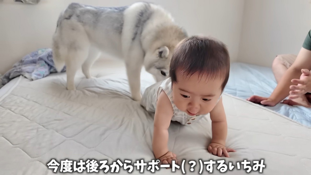 おしりを押してサポート