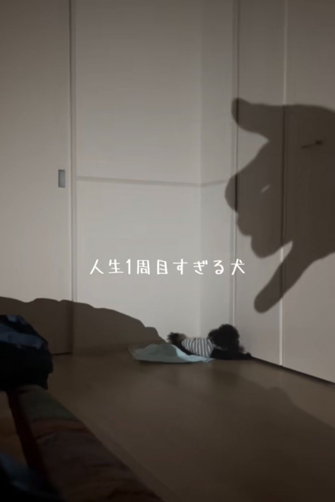 壁に手の影を映す