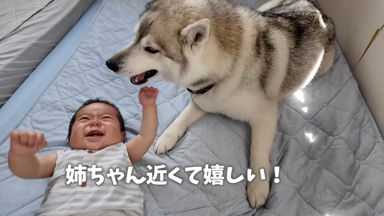 赤ちゃんも嬉しそう♪
