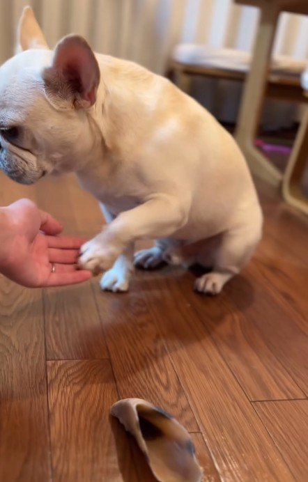 マイペースな面もかわいい♡