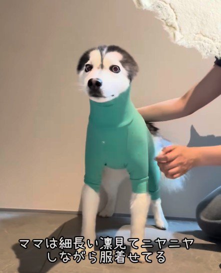 本当に凛ちゃん…！？