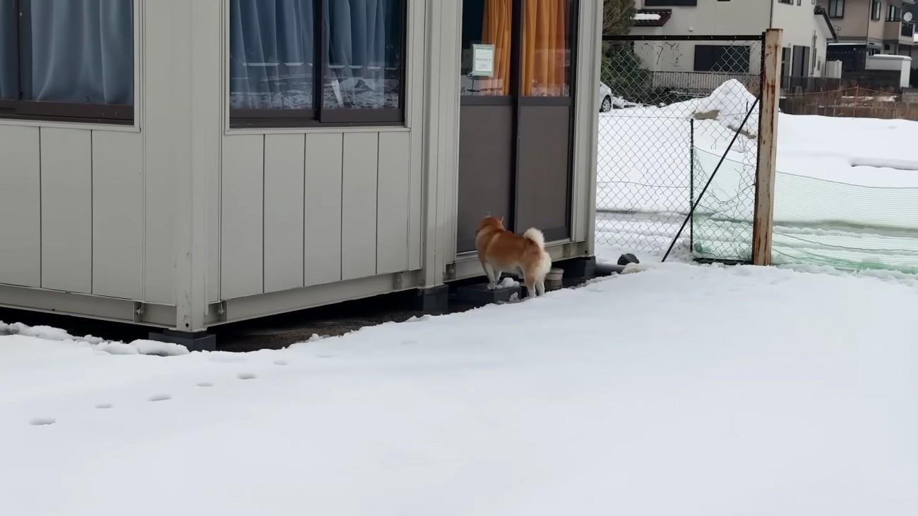 喜んで遊ばなかった