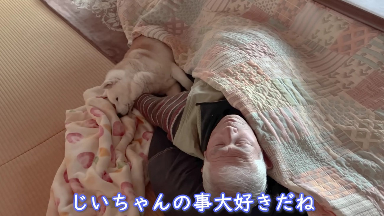 心温まるワンシーンにホッコリ