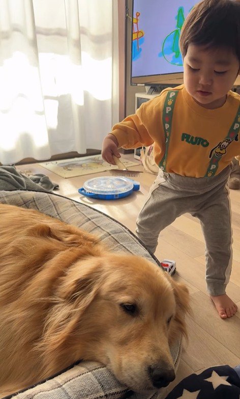 現在のオレオくんと弟くん3