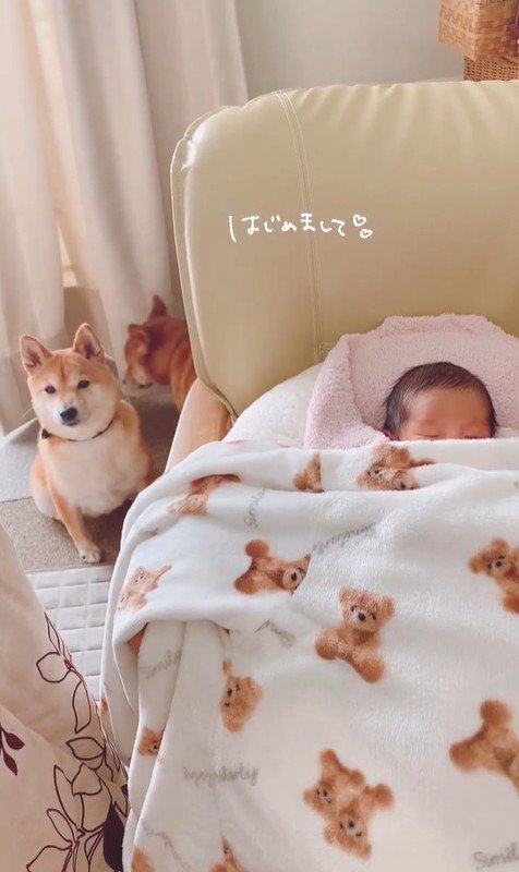 赤ちゃんが来た日のうにちゃん＆きぬ君5