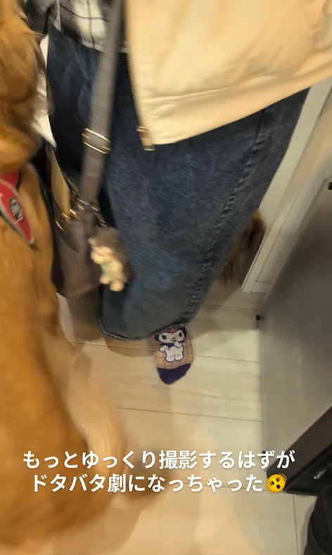 まるちゃんとママさんの再会5