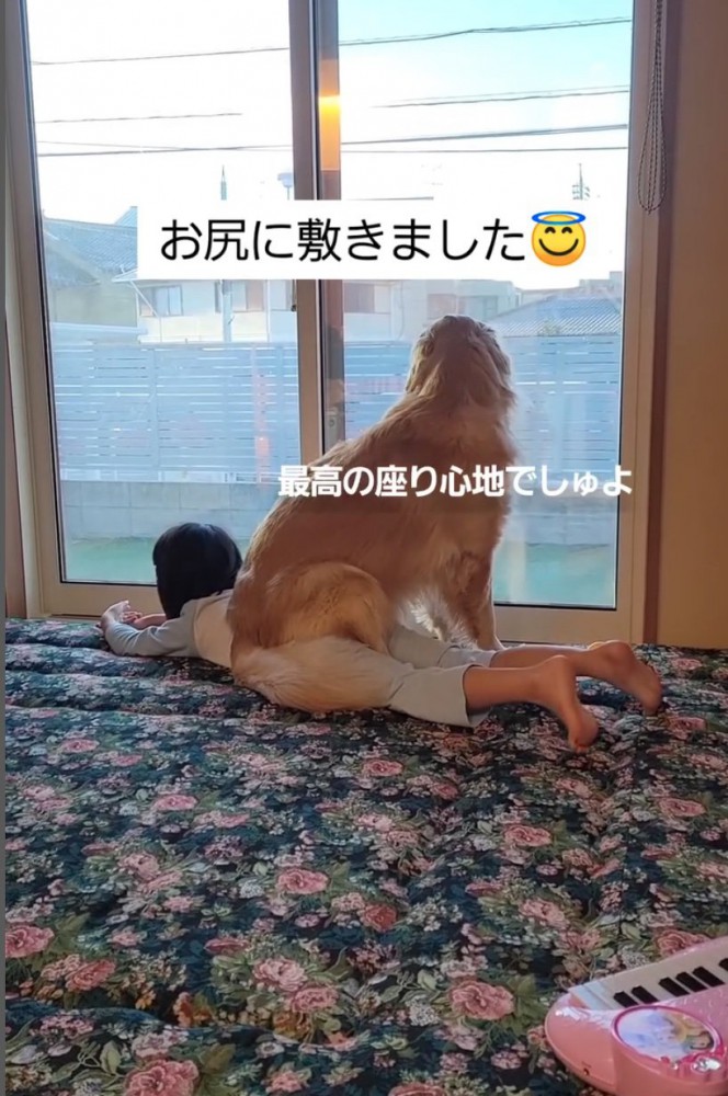 女の子の上に乗る大型犬