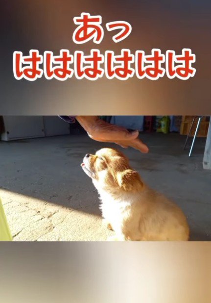 「あっははは」