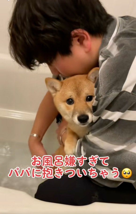 ママを見るまろ君